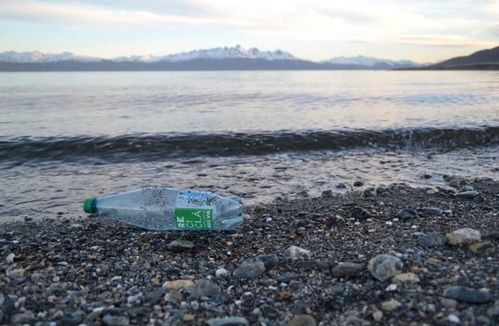 Científicos revelaron que el mar de Ushuaia tiene "elevados" niveles de contaminación