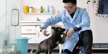 China comienza a entrenar a su primer perro policía clonado