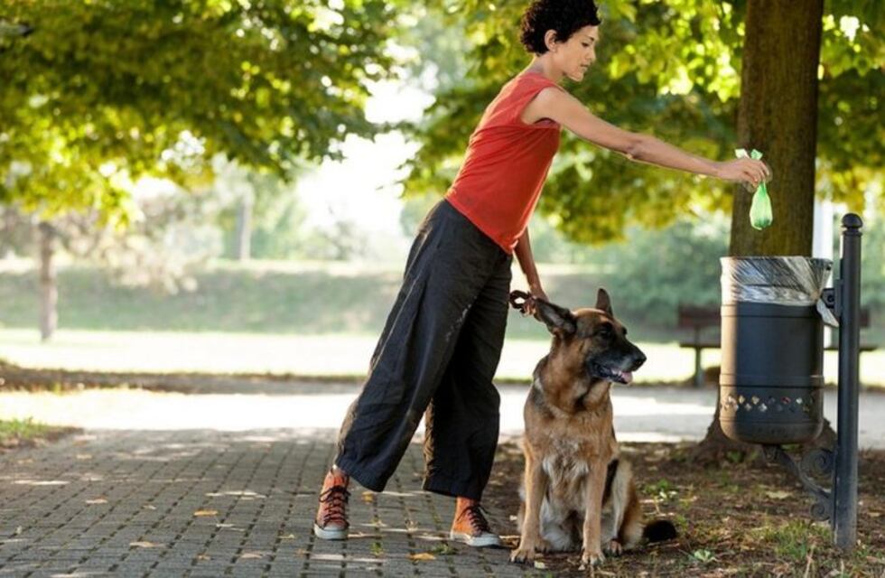 Solo uno de cada tres dueños de perros lleva bolsa para recoger las "necesidades"