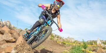 Mountain bike. Web