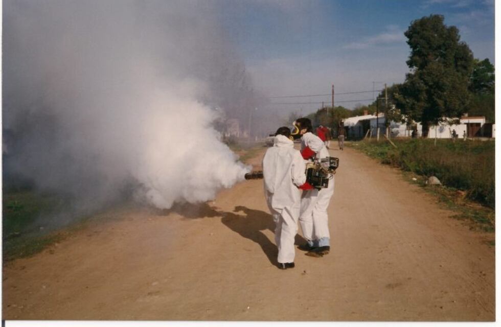 Llegan a 113 los casos de dengue confirmados
