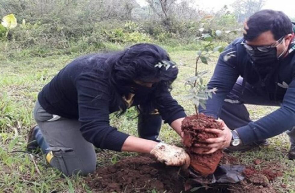 Plantan árboles y monitorean la puesta en valor del lago Ziegler en Eldorado