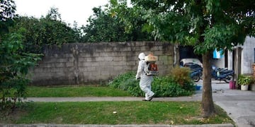 Dengue en Tucumán\u002E