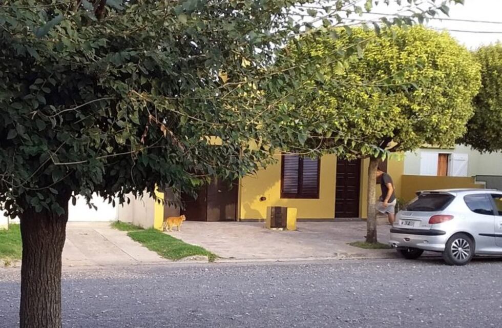 "Con gente responsable la ganamos": el agradecimiento a una familia azuleña que terminó la cuarentena