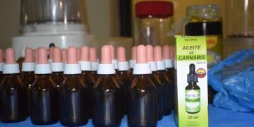 Fábrica de cannabis medicinal (Web)