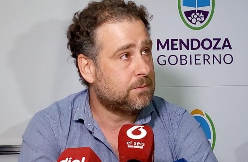 "Esta pandemia permitió aflorar ideas de emprendedores mendocinos"