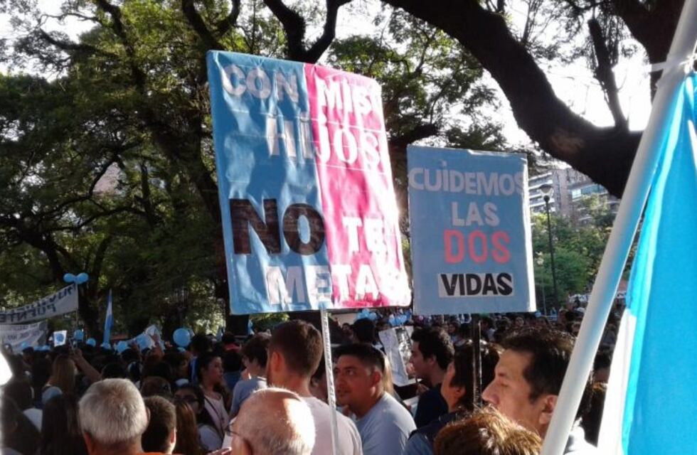 Tucuman: grupos "provida" celebran el rechazo a la despenalización del aborto