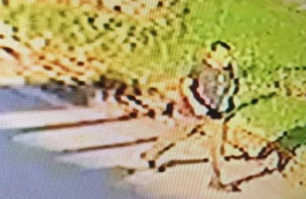 Un video registró en Punta Mogotes al acusado de la desaparición de Claudia Repetto