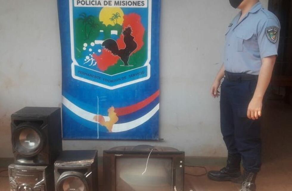 Recuperan elementos robados que estaban ocultos en un monte