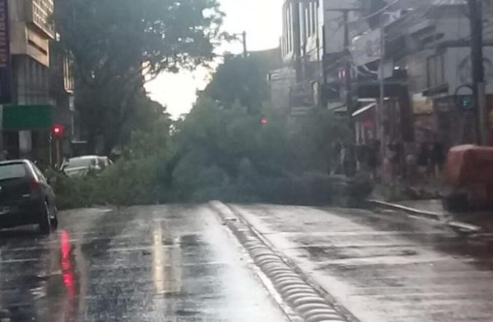 La tormenta provocó destrozos en la capital e interior de Misiones
