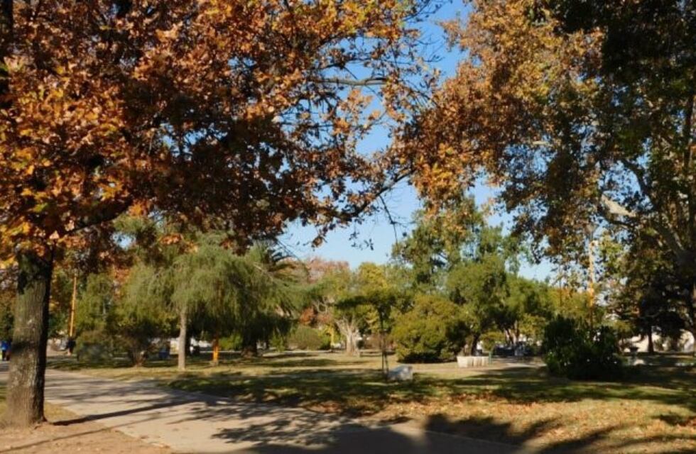 Una estudiantina diferente: primavera virtual