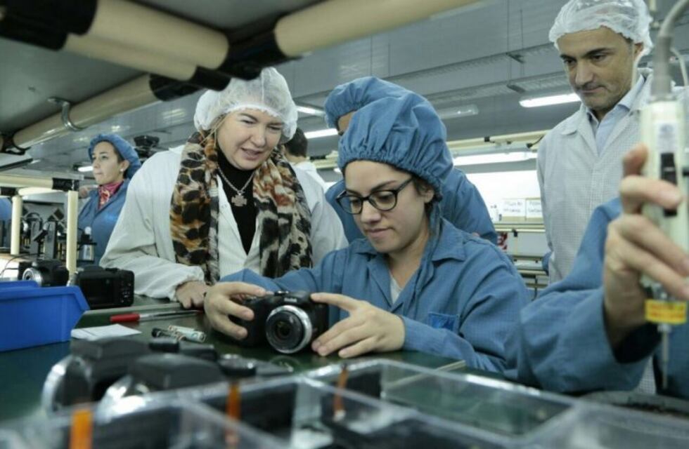 Bertone reclamó a Nación una reunión urgente por la Industria fueguina