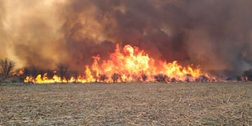 Incendio de monte entre La Pampa y San Luis (Infopico)