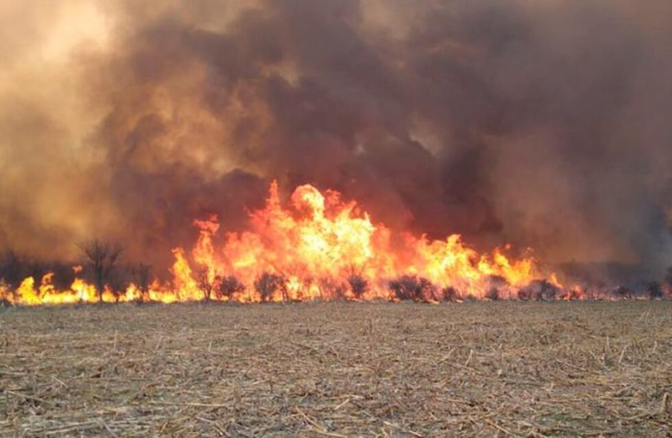 Se quemaron 4.000 hectáreas de monte de caldén entre La Pampa y San Luis