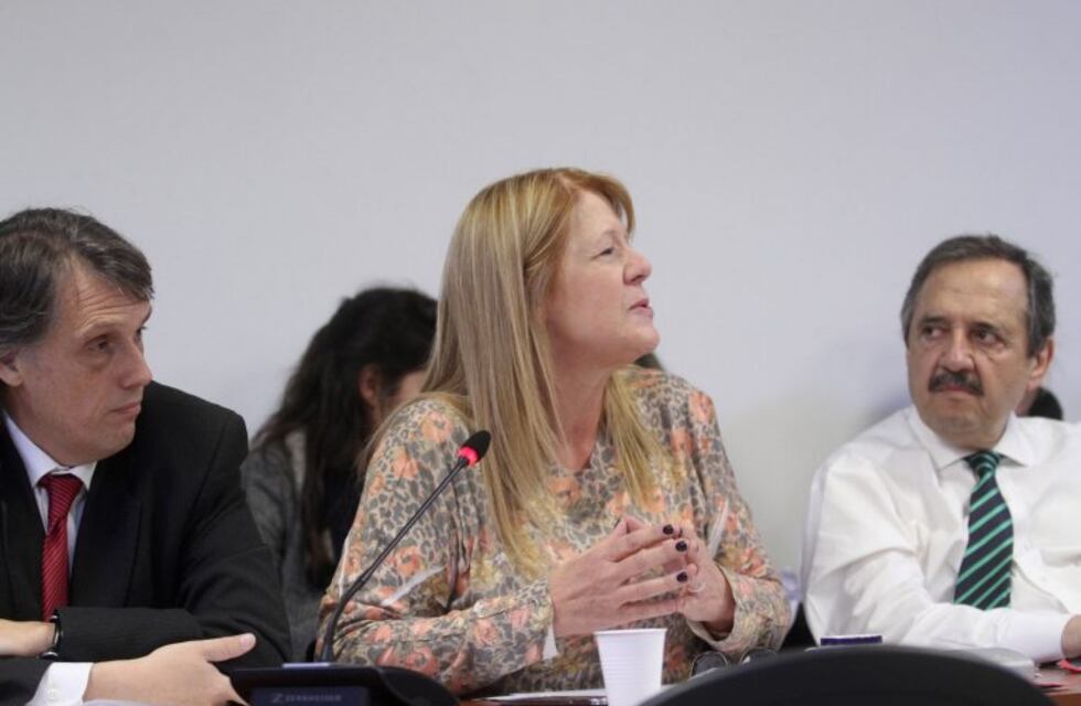 Stolbizer: "Cristina miente de manera alevosa, no me sorprende su estrategia"