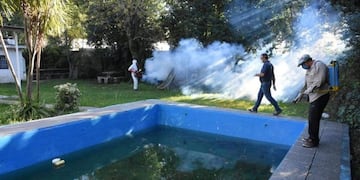 En la ciudad se vienen realizando operativos en casas abandonadas y baldíos\u002E (Municipalidad de Funes)