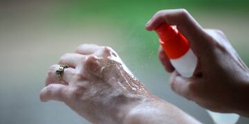 Gualeguaychú producirá y distribuirá gratuitamente repelente para mosquitos. (Foto ilustrativa, EFE)