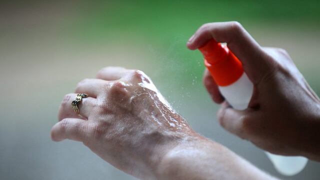 Gualeguaychú producirá y distribuirá gratuitamente repelente para mosquitos. (Foto ilustrativa, EFE)