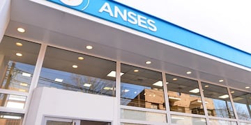 Anses. (Imagen ilustrativa)