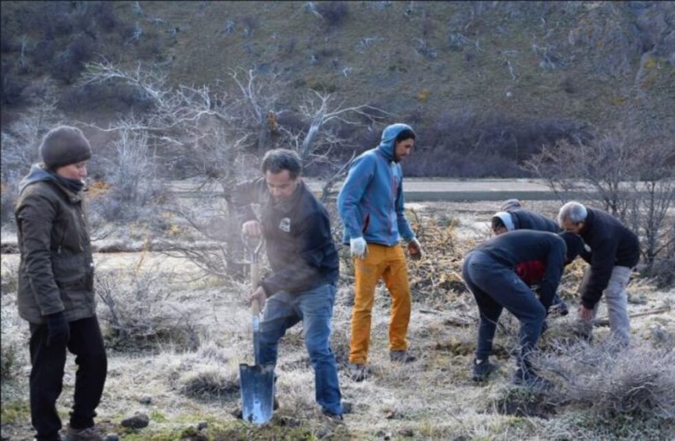 Comenzó el Plan de Forestación