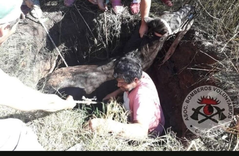 Rescatan a un caballo que cayó a un pozo en Cruz Alta