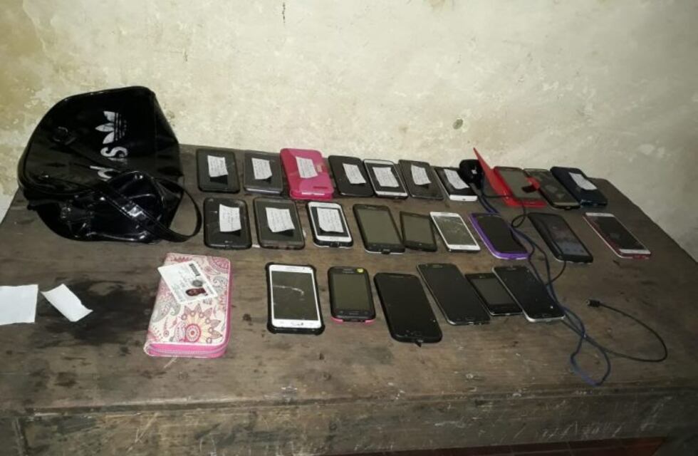 "Operativo pungas": detenidos por robar 25 celulares en una fiesta patronal