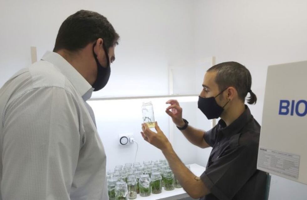 En Alvear producen insectos que YPF podría utilizar para tratar agua pesada