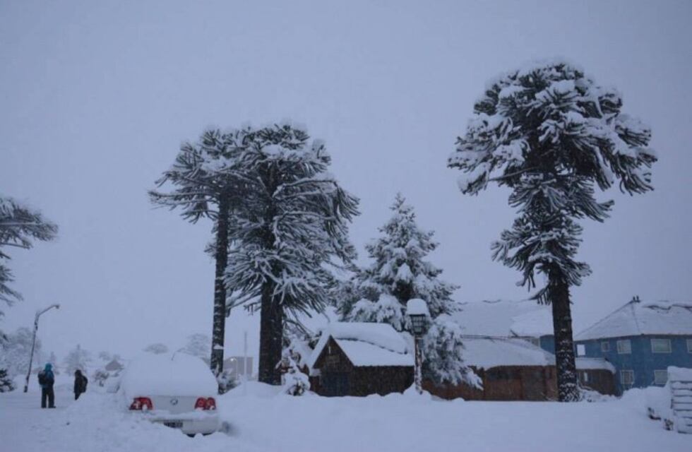 Con aire polar, así comienza la semana en Neuquén