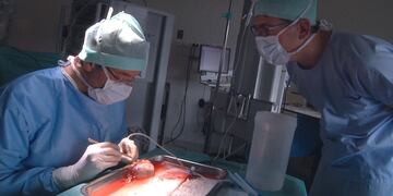 Donación de órganos, imagen ilustrativa.