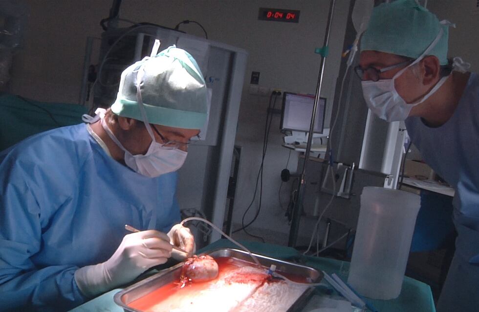 Un joven de 19 años murió en un accidente y decidieron donar sus órganos