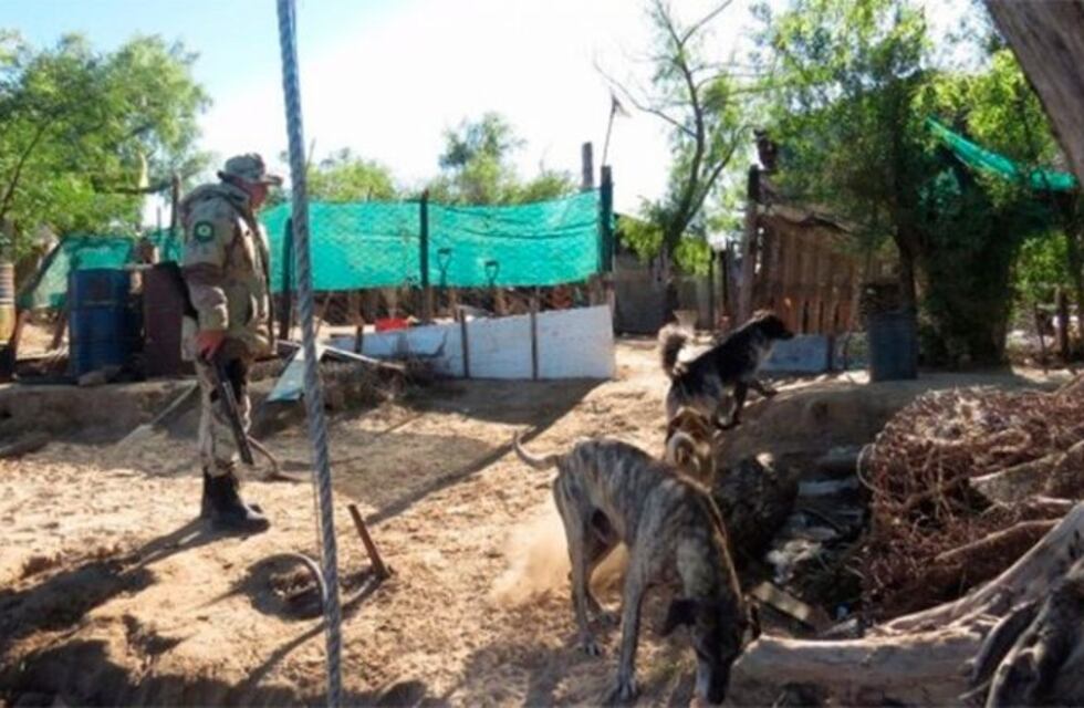 La mujer que mató a su marido en las islas quedó bajo prisión domiciliaria