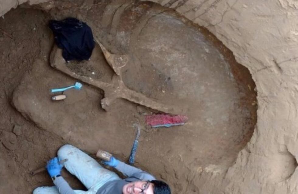 Hallaron restos de un gliptodonte en Sierra de Los Padres