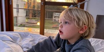 Marley y Mirko disfrutan su hogar en cuarentena\u002E