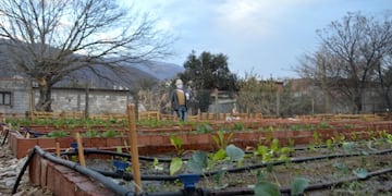 Crece la huerta comunitaria del CIC de Constitución (Municipalidad de Salta)