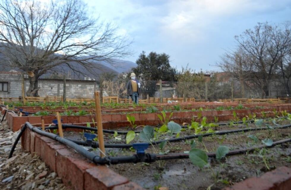 Crece la huerta comunitaria de un barrio salteño