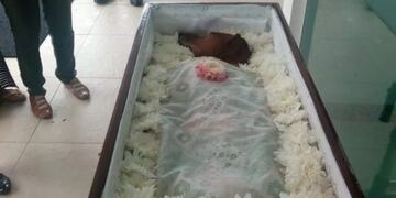 Velaron a su perro dentro de un ataúd y desataron una polémica en las redes sociales