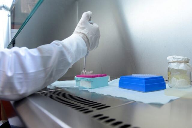 Expertos en infectología realizan test de coronavirus en el Instituto Malbrán\u002E (Ministerio de Salud)