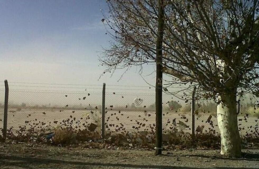 El viento norte levantará la temperatura en pleno otoño