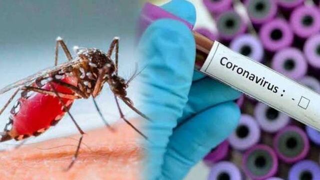 La Rioja sin casos de coronavirus y con 1032 personas con dengue