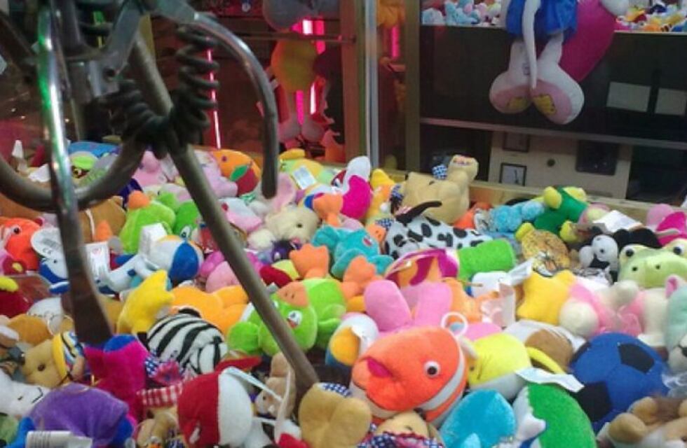 Detuvieron a un hombre por robar dos osos de peluche