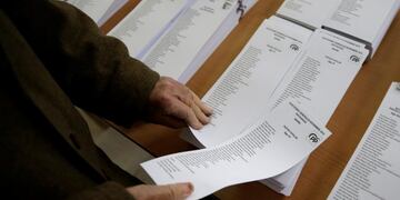 A voter