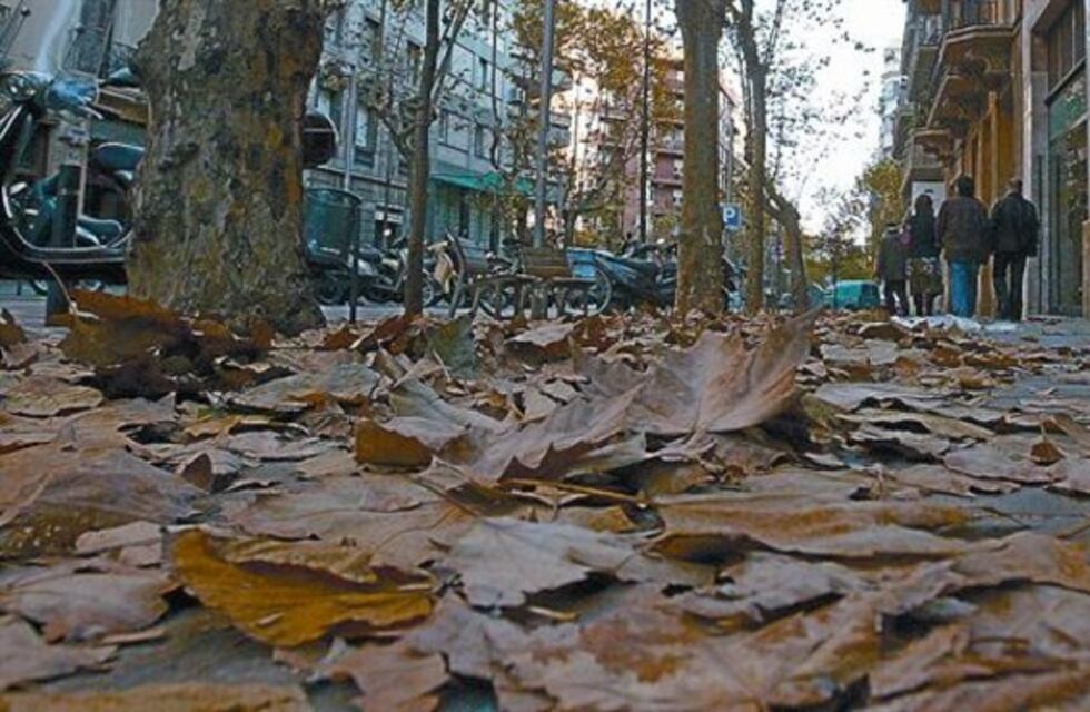 El municipio impulsa una campaña para fomentar el barrido de las calles