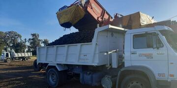 Llegarán 30 toneladas de papas a Punta Alta