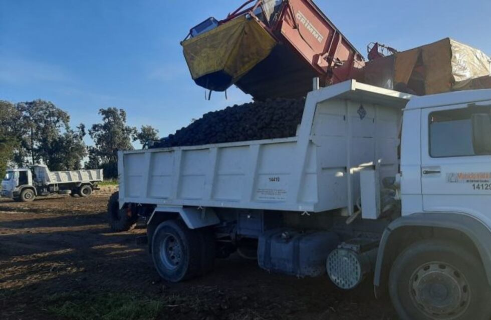 Entregan 8 toneladas de papas a beneficiarios del Programa Alimentario Municipal