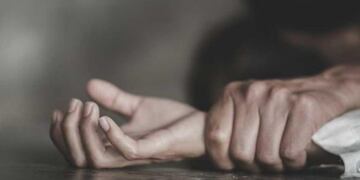 Imagen ilustrativa\u002E