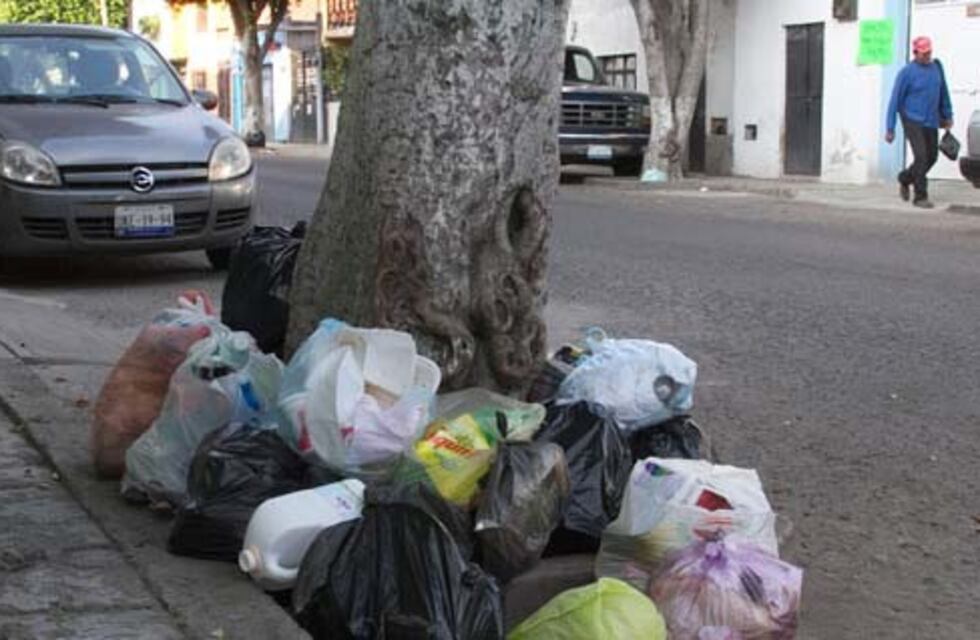 Habrá cambios en la recolección de residuos por el feriado de Navidad