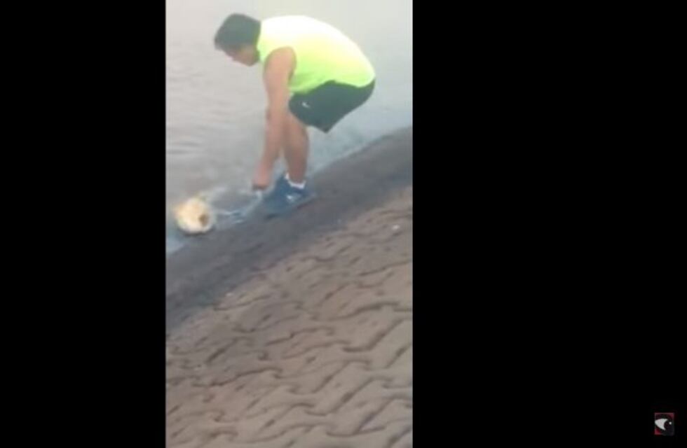 Pescador fallido: quiso sacar un dorado pero terminó en el piso