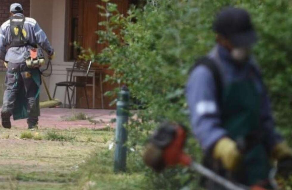 Comenzaron a trabajar en el Instituto Próvolo para exploraciones subterráneas