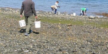 Marea Roja en Tierra del fuego