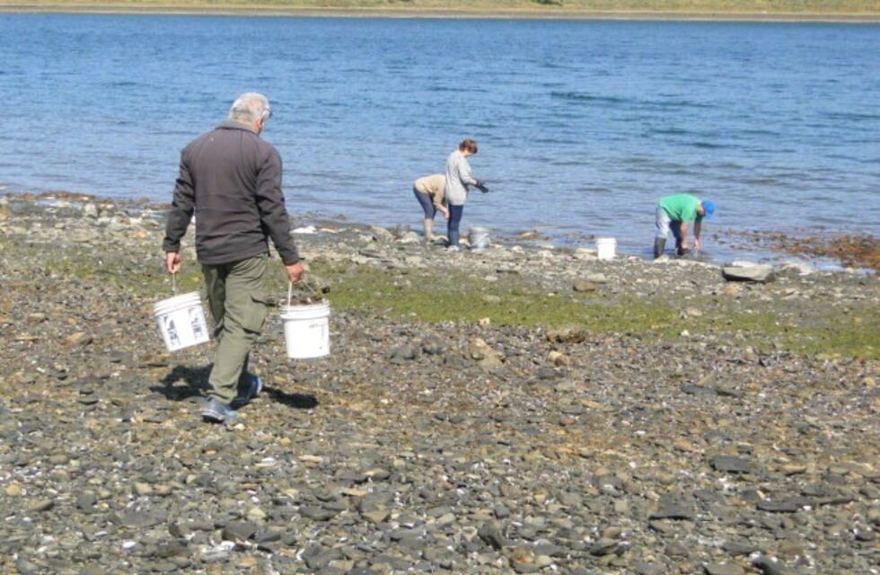 Marea Roja: Se realizan fiscalizaciones en distintas zonas afectadas